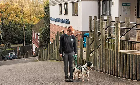 Battersea cats and dogs old best sale windsor